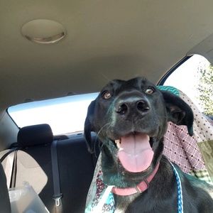 Meet your Posher, T. michelle